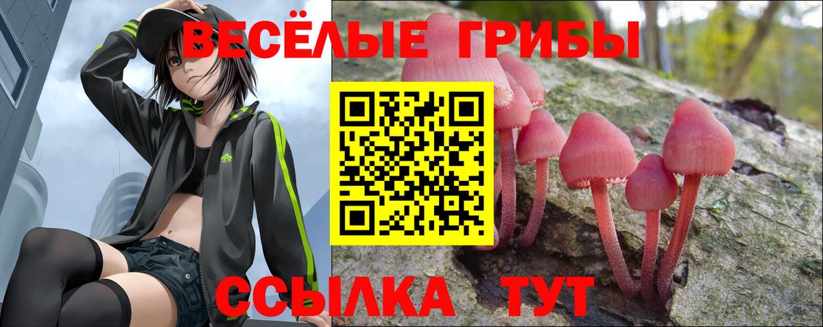Галлюциногенные грибы мухоморы Киселёвск