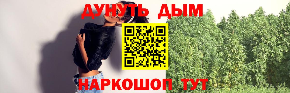 Канабис сатива Киселёвск